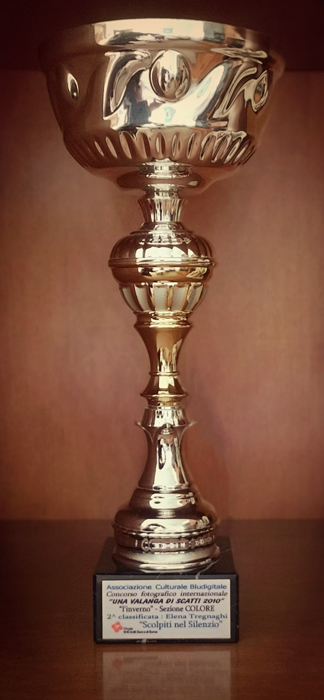 2nd place Trophy - Una valanga di scatti